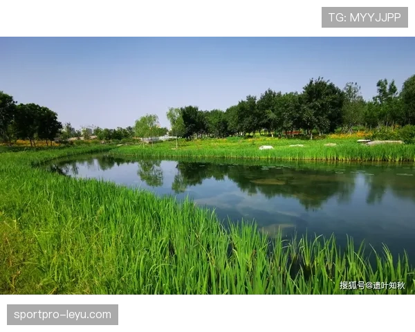哥本哈根公园启动新绿化项目，助力城市可持续发展趋势积极向好
