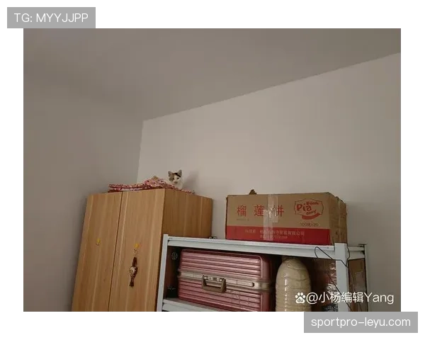 杨倩家里厕所装修比普通人房子还豪,谁来告诉我她平时咋上厕所的? 杨倩家里厕所装修比普通人房子还豪,谁来告诉我她平时咋上厕所的?